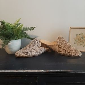 CL By Laundry,  Comfort mule , Women's Shoe,  Size 7.5